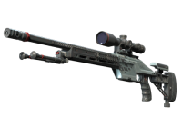 SSG 08 Dezastre
